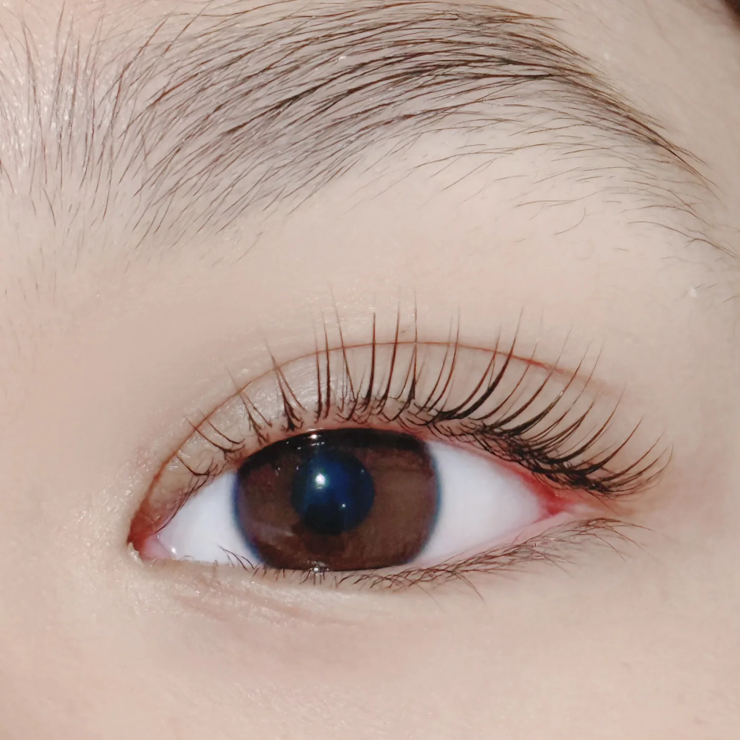 Lash lift result on a brown eye by Bella Beauty