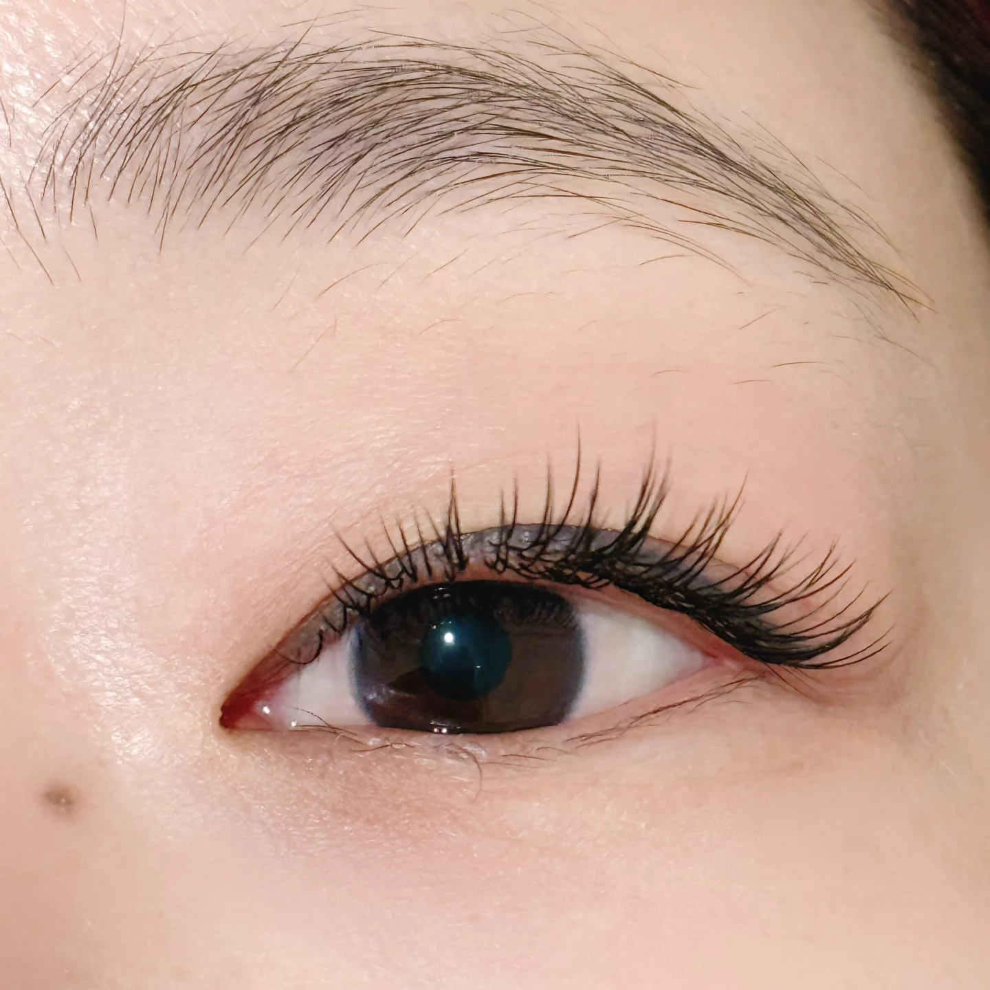 Lash extensions on a brown eye by Bella Beauty