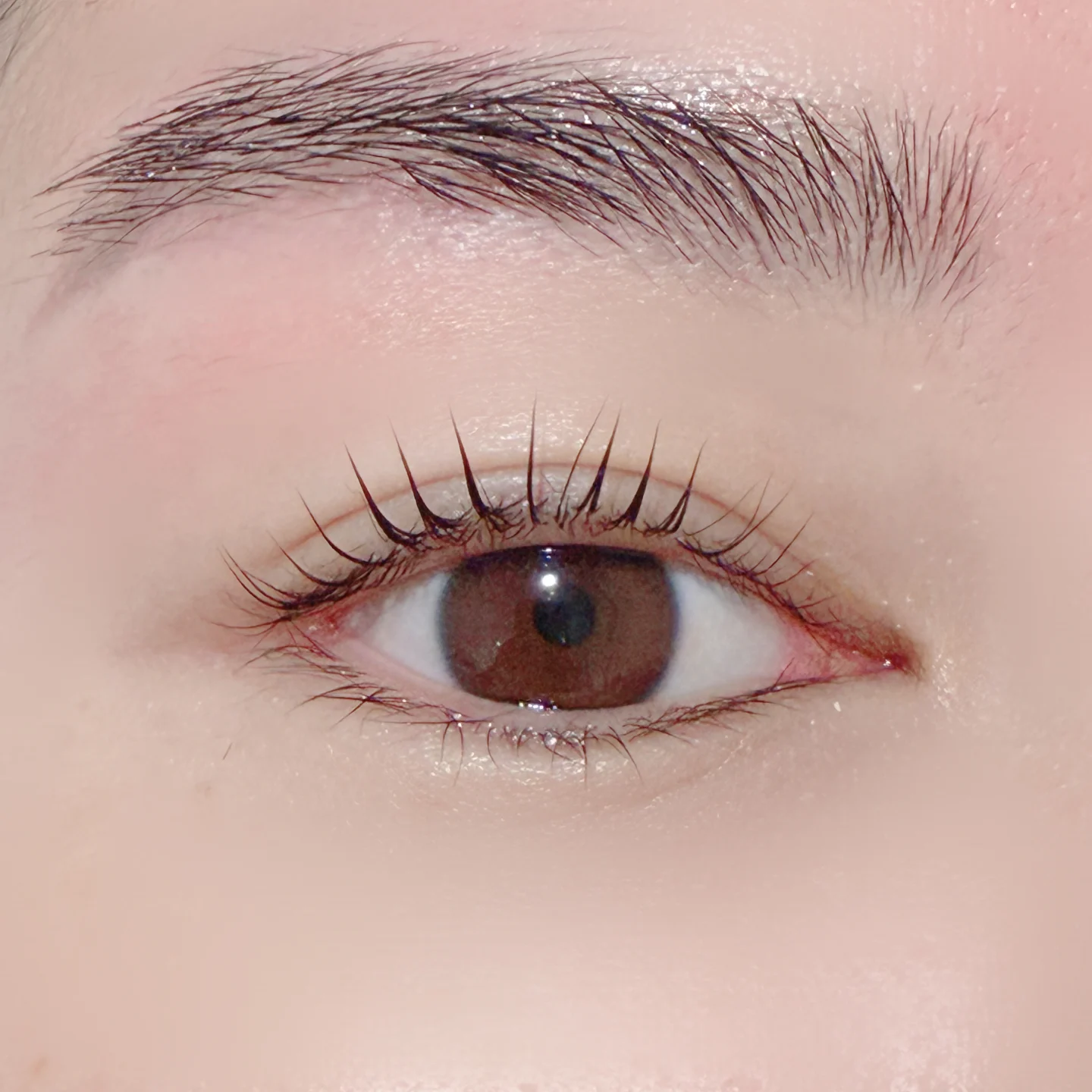 Lifted lashes on a brown eye by Bella Beauty