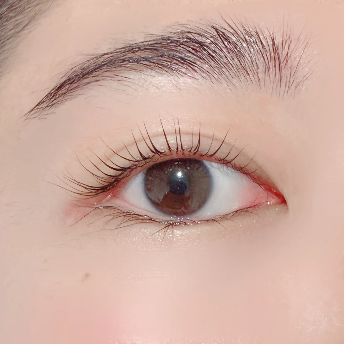Close-up of lifted lashes by Bella Beauty