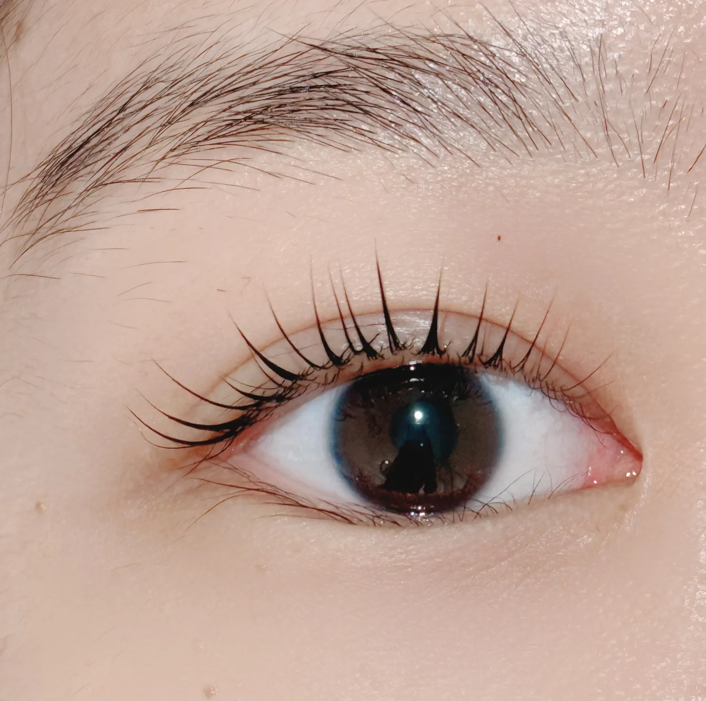 Side view of a Bella Beauty lash lift